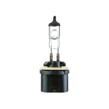 893 37.5 Watt Foglamp / Cornering Halogen Bulb Korea