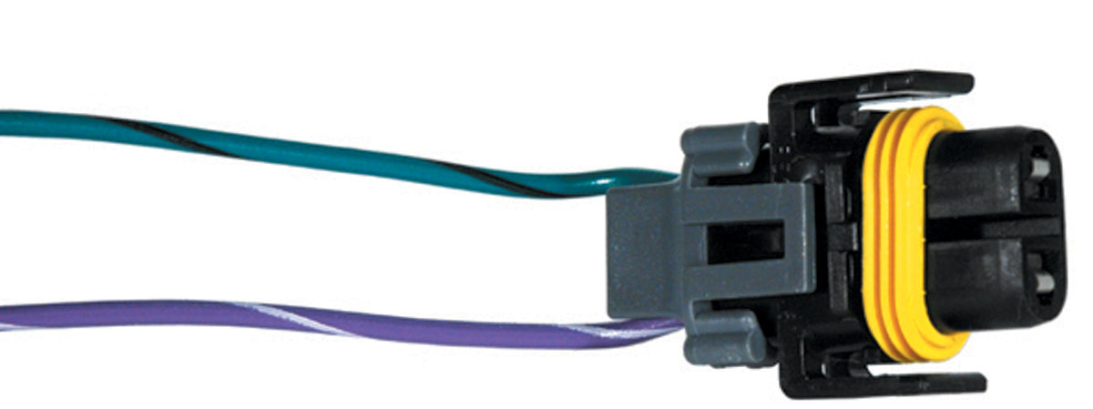 Socket Assembly - GM Fog 1983 - On
