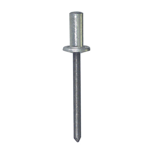 0.251 - 0.375 Inch Grip 1/4 Inch Dia x 0.695 Inch Polished 5056 Aluminum Dome Head Blind Rivet