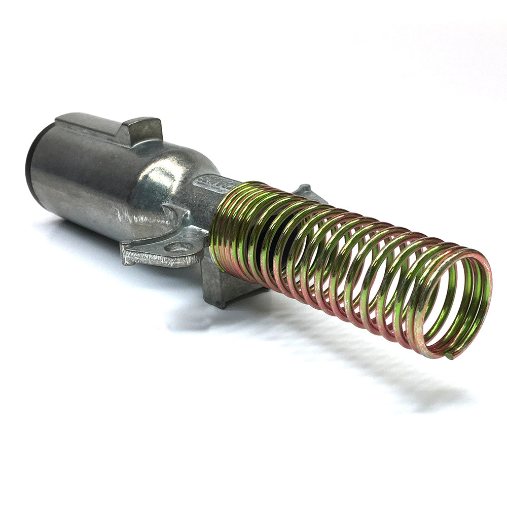 Dual Pole Plug Assembly with Springs