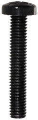 M6 x 1 x 35 mm Pan Head Phillips Drive Black 6/6 Nylon Machine Screw