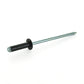 4.0 Mm - 7.9 Mm (0.158 Inch - 0.311 Inch) Grip Front & Rear Bumper Specialty Rivet - Hyundai/Kia
