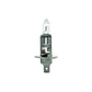 Halogen H1 70W 24V Bulb P14.5S Base- T2-1/2 Shape