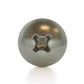 1/4-20 x 5/8 Inch Coarse Plain 18-8 (A2) Stainless Steel #3 Phillips Drive Truss Head Machine Screw