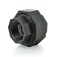 1-1/2" Schedule 40 Female NPT Black Welded Malleable Ground Joint Union USA